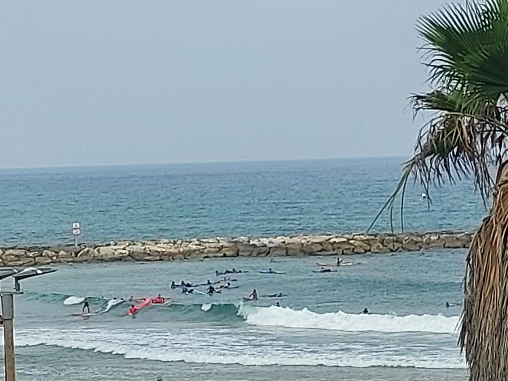 Apartment Jaffa Getaway Sea Front, Luxury Duplex, Port & Old 2m Walk